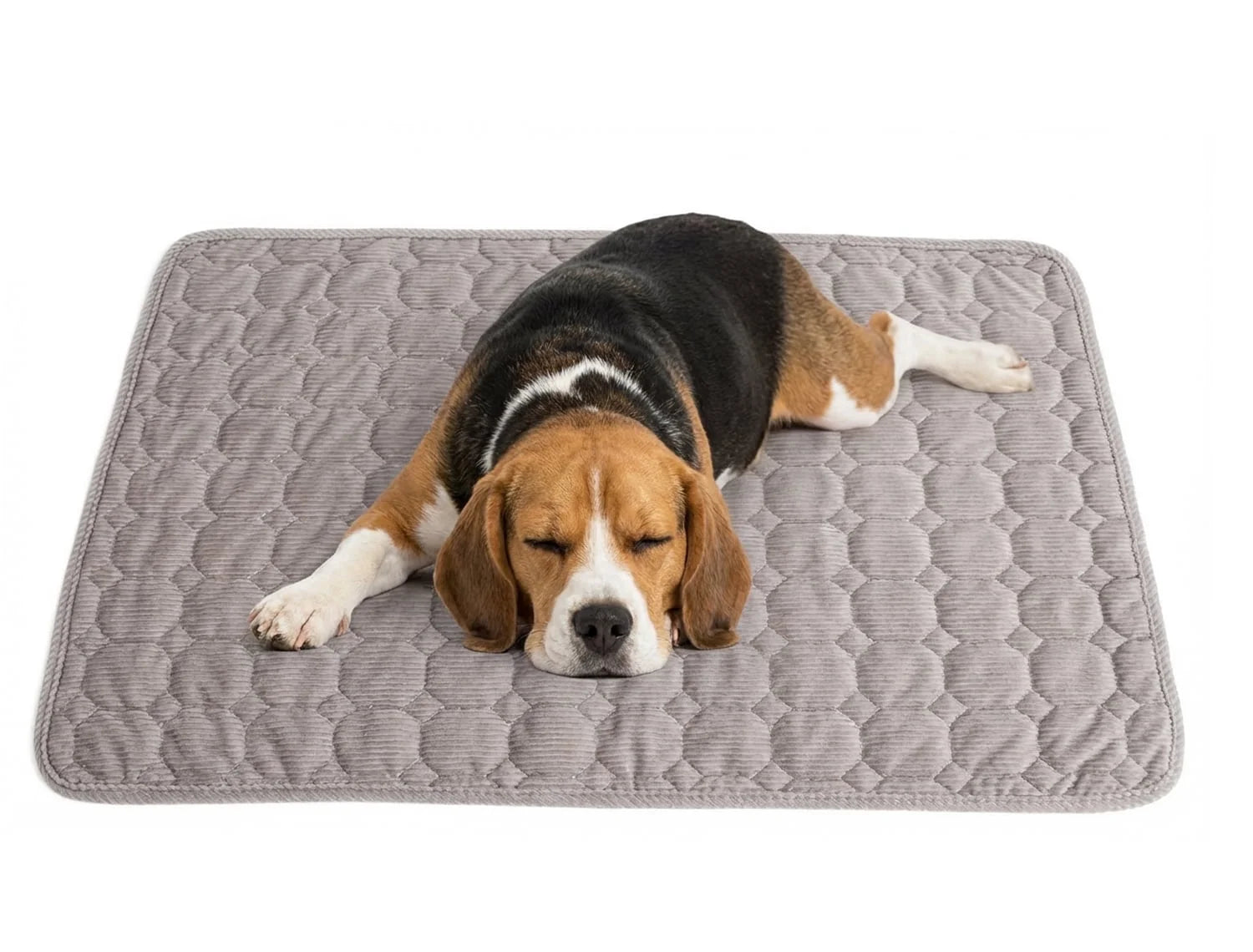 Extra Large Dog Crate Mat,48 X 36 Inch Washable Dog Bed Mat for Crate Mats for Dog Cage Mat Dog Kennel Pad Dog Kennel Mat Dog Crate Liner Dog Beds for Large Dog