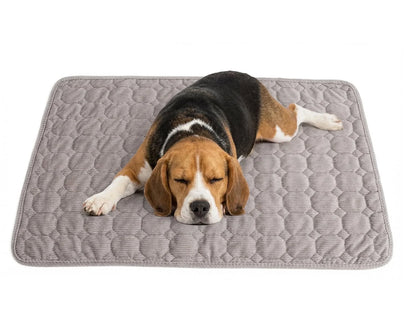 Extra Large Dog Crate Mat,48 X 36 Inch Washable Dog Bed Mat for Crate Mats for Dog Cage Mat Dog Kennel Pad Dog Kennel Mat Dog Crate Liner Dog Beds for Large Dog
